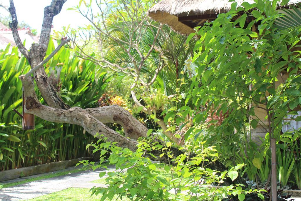 Bali Agung Village - Chse Certified Семіньяк Екстер'єр фото